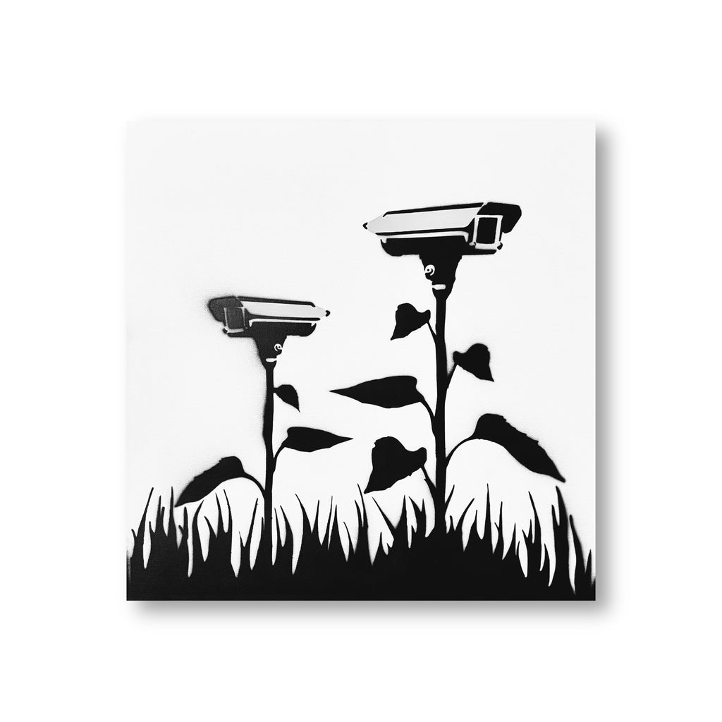 Eyes in The Garden