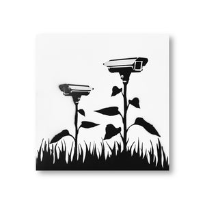 Eyes in The Garden